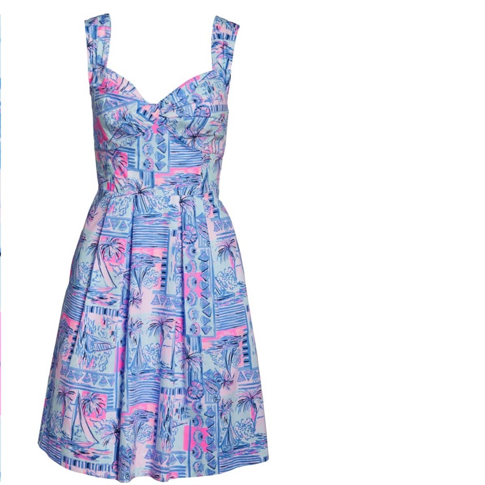Lilly Pulitzer Cyndi dress - Picture 4 of 6